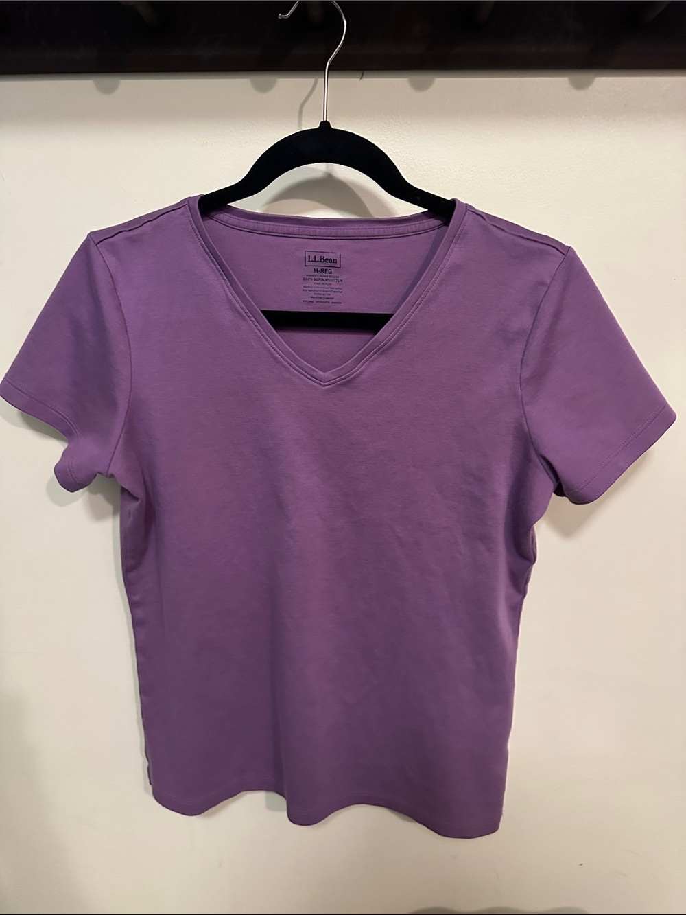 LL Bean VNeck shirt M